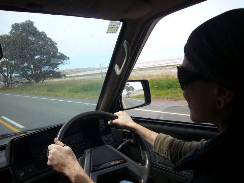Travel - New Zealand - Blenheim